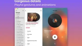 Vinyls screenshot