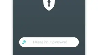 VIP Password Manager screenshot