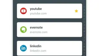 VIP Password Manager screenshot
