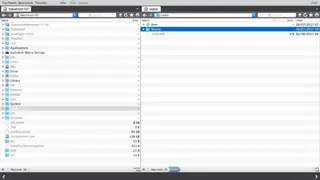 Viper FTP screenshot