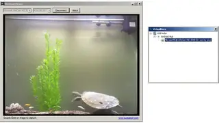 VirtualHere screenshot