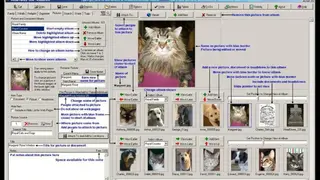 Visual Family Tree Maker screenshot