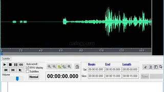 VisualSubSync screenshot