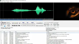 VisualSubSync screenshot