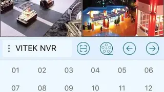 VITEK Transcendent Viewer screenshot