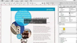 VivaDesigner screenshot