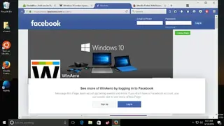 VivaldiFox screenshot