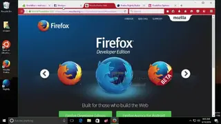 VivaldiFox screenshot