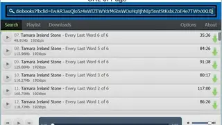 VkAudioSaver screenshot