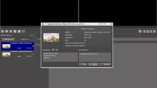 VLMC screenshot