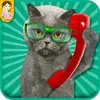 Voice changer during call