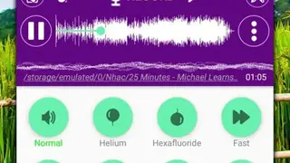 Voice Changer Sound Effects screenshot