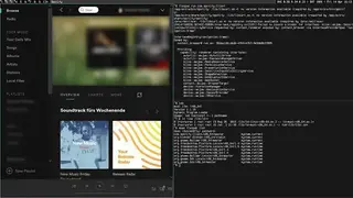 Void Linux screenshot