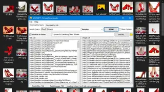 Vov Picture Downloader screenshot