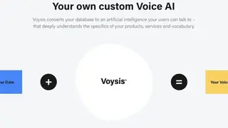 Voysis screenshot