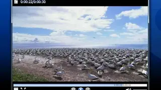 VSO Media Player screenshot