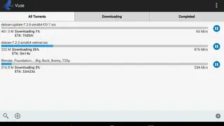 Vuze screenshot