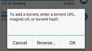Vuze screenshot