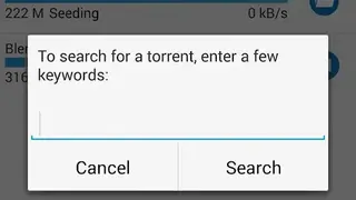 Vuze screenshot