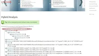 VxStream Sandbox screenshot