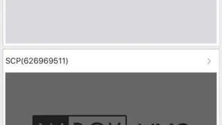 W Box VMS GV screenshot
