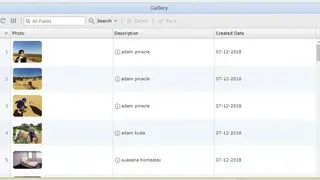 W2ui screenshot