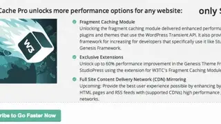 W3 Total Cache screenshot