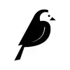 Wagtail CMS