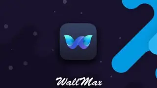 Wallmax screenshot