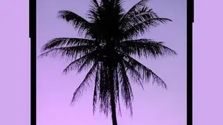 Walpy screenshot