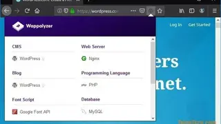 Wappalyzer screenshot