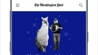 Washington Post screenshot
