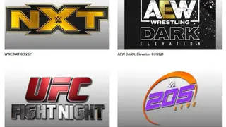 Watch Wrestling 24 screenshot