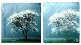Watercolor Effect Oil Painting screenshot