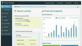 Wave Accounting screenshot