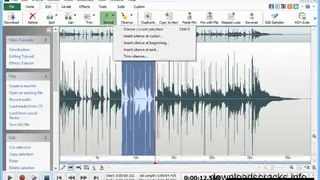 WavePad Sound Effects and Editing screenshot