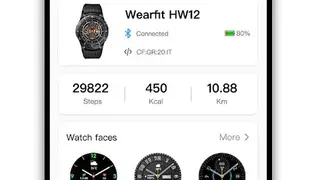 Wearfit Pro screenshot