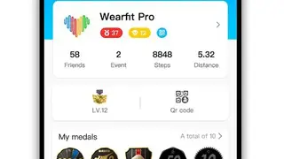 Wearfit Pro screenshot