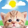 Weather Kitty