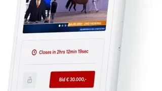 WeAuction screenshot