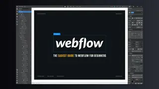 Webflow screenshot