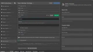 Webflow CMS screenshot