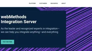 webMethods Integration Server screenshot