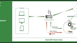 Webroot DNS Protection screenshot