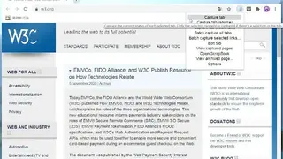 WebScrapBook screenshot
