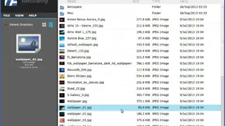 WebSharingLite File/Media Sync screenshot