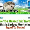Website-Traffic-Hog
