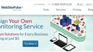 WebSitePulse screenshot
