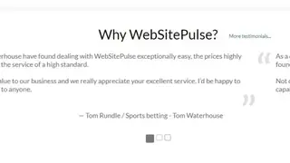 WebSitePulse screenshot