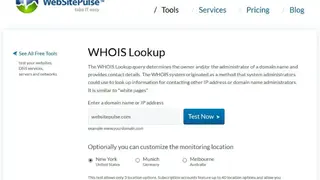 WebSitePulse screenshot